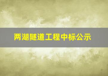 两湖隧道工程中标公示