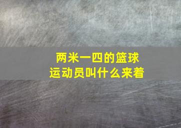 两米一四的篮球运动员叫什么来着