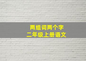 两组词两个字二年级上册语文