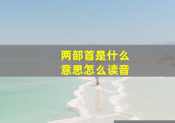 两部首是什么意思怎么读音