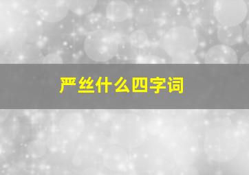 严丝什么四字词