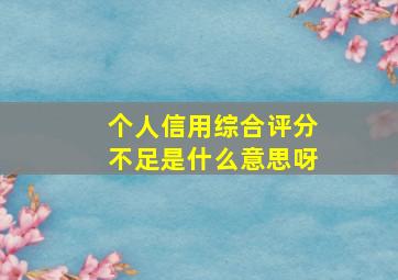 个人信用综合评分不足是什么意思呀