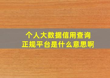 个人大数据信用查询正规平台是什么意思啊