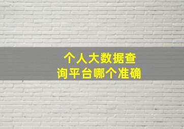 个人大数据查询平台哪个准确