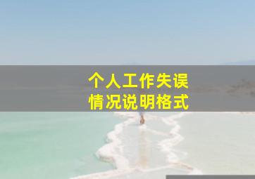 个人工作失误情况说明格式