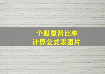 个股夏普比率计算公式表图片