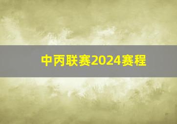 中丙联赛2024赛程