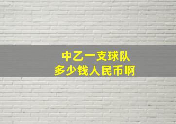 中乙一支球队多少钱人民币啊