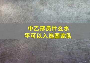 中乙球员什么水平可以入选国家队