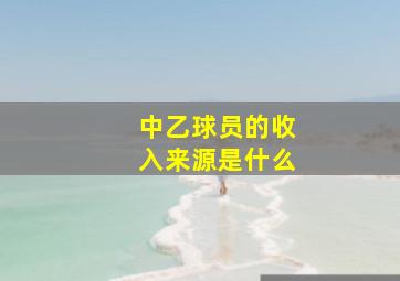 中乙球员的收入来源是什么