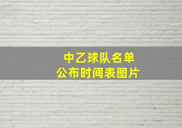 中乙球队名单公布时间表图片