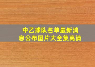 中乙球队名单最新消息公布图片大全集高清