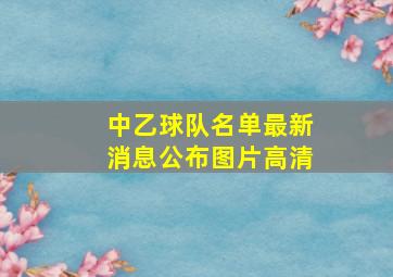 中乙球队名单最新消息公布图片高清