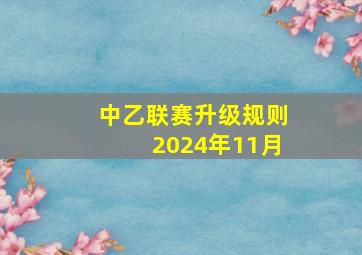 中乙联赛升级规则2024年11月