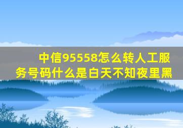 中信95558怎么转人工服务号码什么是白天不知夜里黑