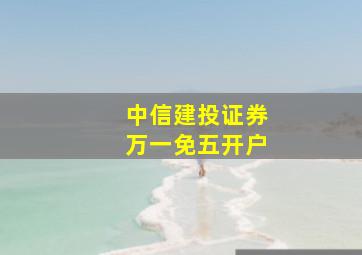 中信建投证券万一免五开户