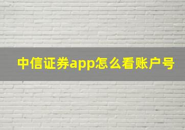 中信证券app怎么看账户号