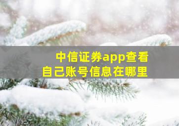 中信证券app查看自己账号信息在哪里