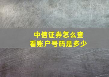 中信证券怎么查看账户号码是多少