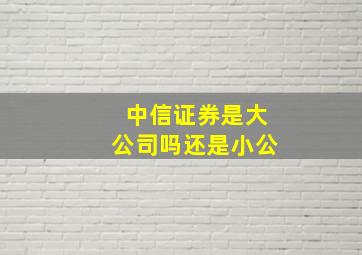 中信证券是大公司吗还是小公