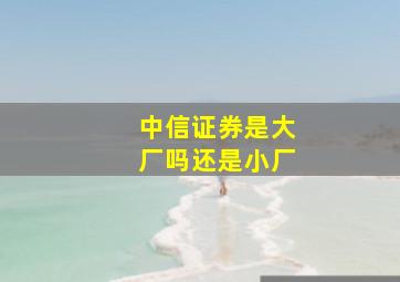 中信证券是大厂吗还是小厂