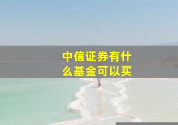 中信证券有什么基金可以买