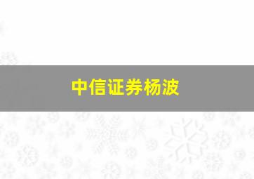 中信证券杨波