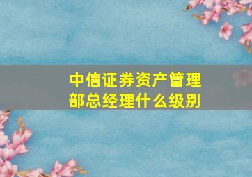 中信证券资产管理部总经理什么级别