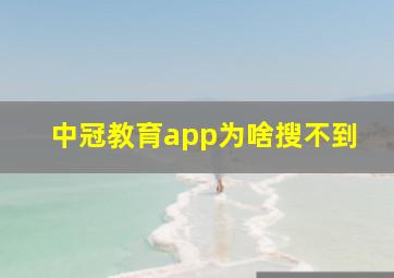 中冠教育app为啥搜不到