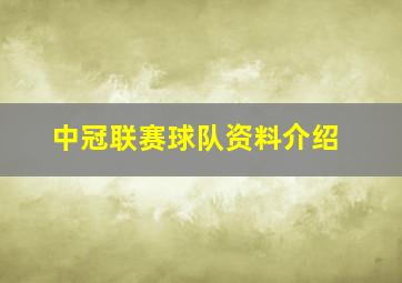 中冠联赛球队资料介绍