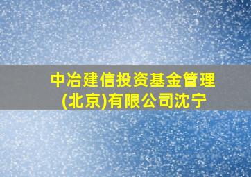 中冶建信投资基金管理(北京)有限公司沈宁