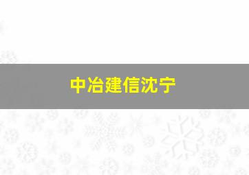 中冶建信沈宁