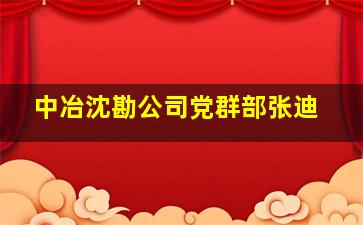 中冶沈勘公司党群部张迪