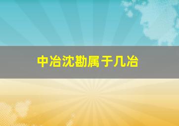 中冶沈勘属于几冶