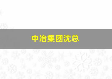 中冶集团沈总