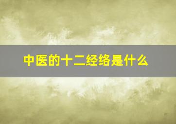 中医的十二经络是什么