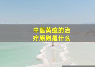 中医黄疸的治疗原则是什么