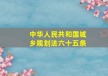 中华人民共和国城乡规划法六十五条