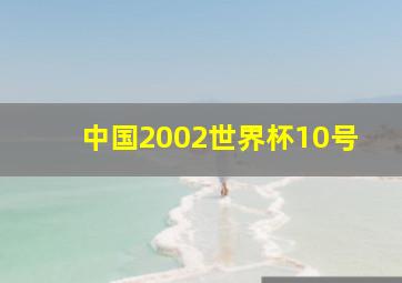 中国2002世界杯10号