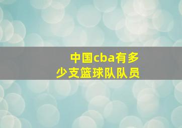 中国cba有多少支篮球队队员