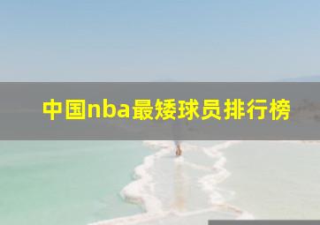 中国nba最矮球员排行榜