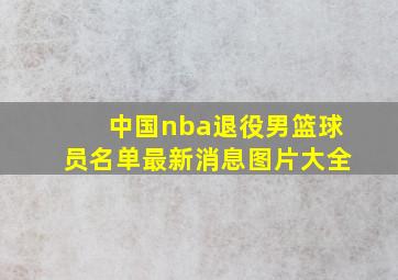 中国nba退役男篮球员名单最新消息图片大全