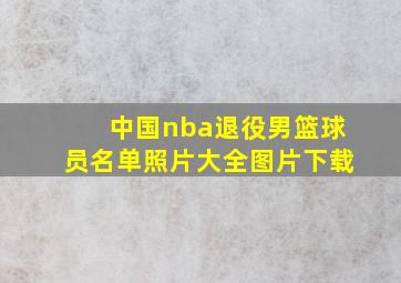 中国nba退役男篮球员名单照片大全图片下载