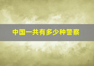 中国一共有多少种警察