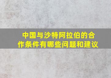 中国与沙特阿拉伯的合作条件有哪些问题和建议