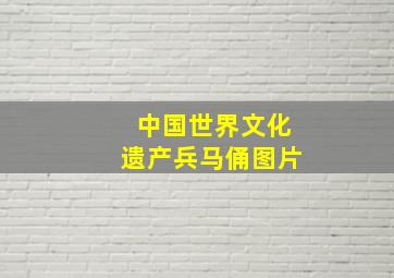 中国世界文化遗产兵马俑图片