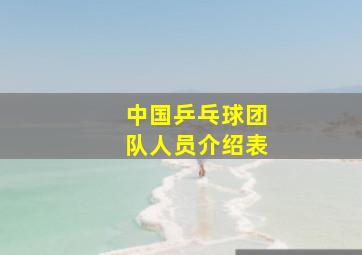 中国乒乓球团队人员介绍表