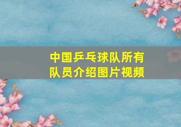 中国乒乓球队所有队员介绍图片视频