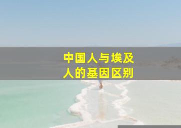 中国人与埃及人的基因区别