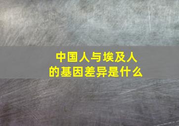 中国人与埃及人的基因差异是什么